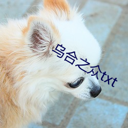 乌合(合)之(之)众txt