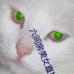 米乐M6·(中国)官方网站