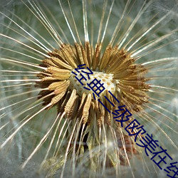 经典三级欧美在线播放