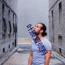 叶辰夏(xi)倾(qīng)月
