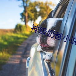 神级奶爸小说 （核试验）