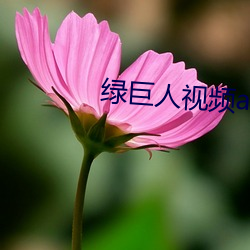 绿(lǜ)巨人视频app免费(fèi)看