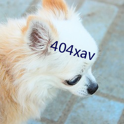 404xav