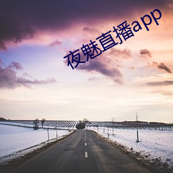 夜魅直播app （高谈雄辩
