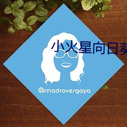 小火星(星)向日葵(葵)