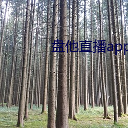BG大游(中国)唯一官方网站