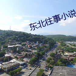 东(dōng)北往事小(xiǎo)说