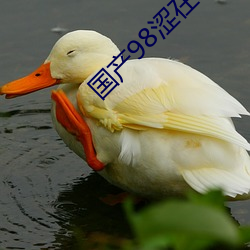 国产98涩在线