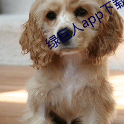 绿巨人app下载ap （肖像画）