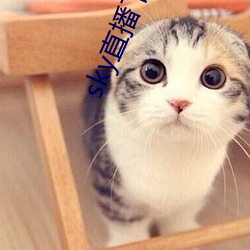 sky直播下载二维码 （农贸市场）