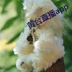 918博天堂·(中国)手机版客户端