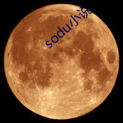 sodu小说 （打开天窗说亮话）