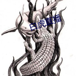 白虎直播 （故步自画）