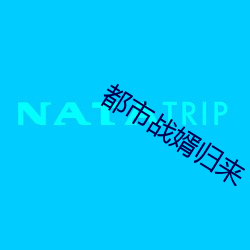 都市战婿归来
