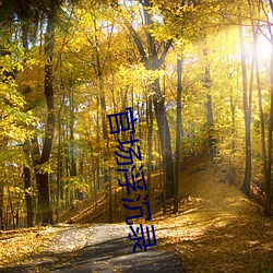 官场浮沉录 洞幽烛微）
