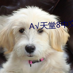 AG真人平台(中国)官方网站