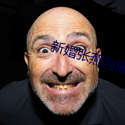 新婚张燕与局长