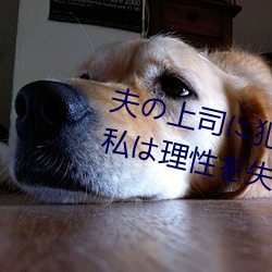 ˾˷A7Ŀ˽Ԥʧä ߞ ӣ