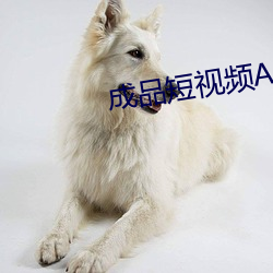 成(chéng)品短视频(pín)APP