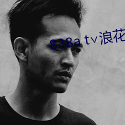 838a t∨浪花直播苹果