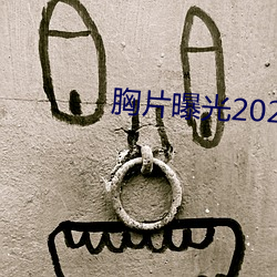 胸片曝光2023版本