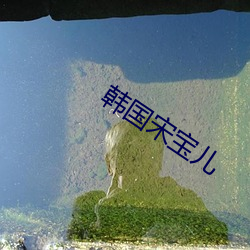 韩国宋宝儿