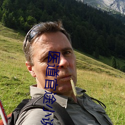 医道官途小说