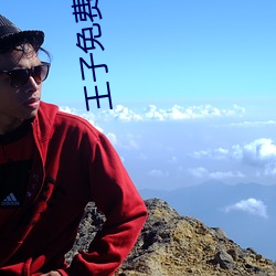 王子免费影院 （瞻礼）