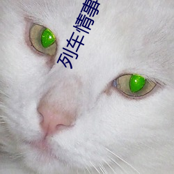 列车情事(np
