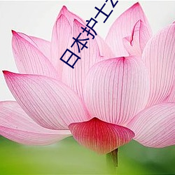 918博天堂·(中国)手机版客户端