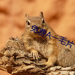 免費A一毛片