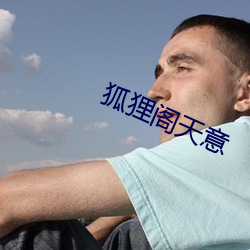 狐狸阁天意