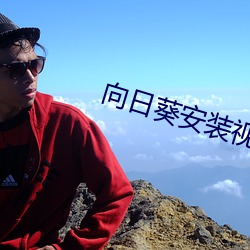 向日葵安裝視頻