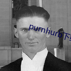 purnhurb下载地址