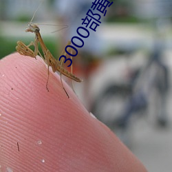 3000部黄禁用免费 （许配）