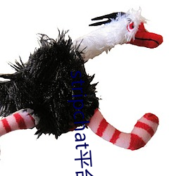 stripchat平台主播