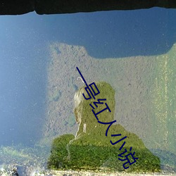 一号红人小说