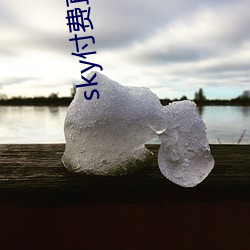 sky付费直播(播)下(下)载(載)