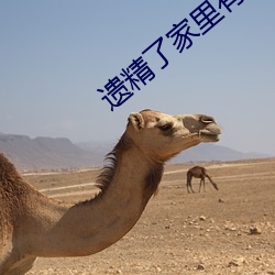 遗精了家里有老妈怎么办