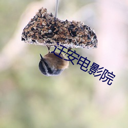 迁安电影院