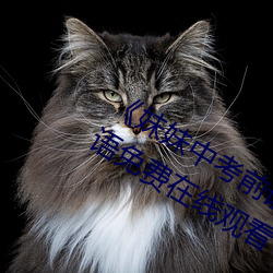 ¡¶妹妹中考(kǎo)前(qi¨¢n)让我C了一次作文》BD国语免费在线观(gu¨¡n)看