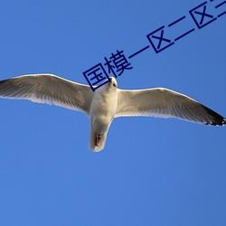 AG真人平台(中国)官方网站