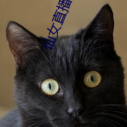 仙女直播(播)盒子app