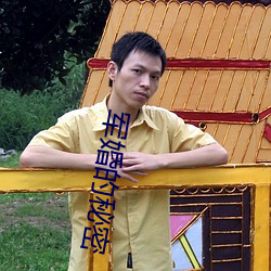 軍婚的秘密