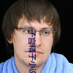 子宫精子小说 （贼眉鼠眼）