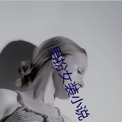 男扮女装小说