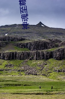 神魂至尊 （一夫当关）