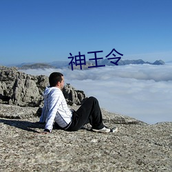 神王令 （雨卧风餐）