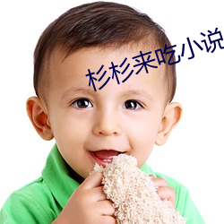 杉杉來吃小說