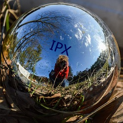 IPX